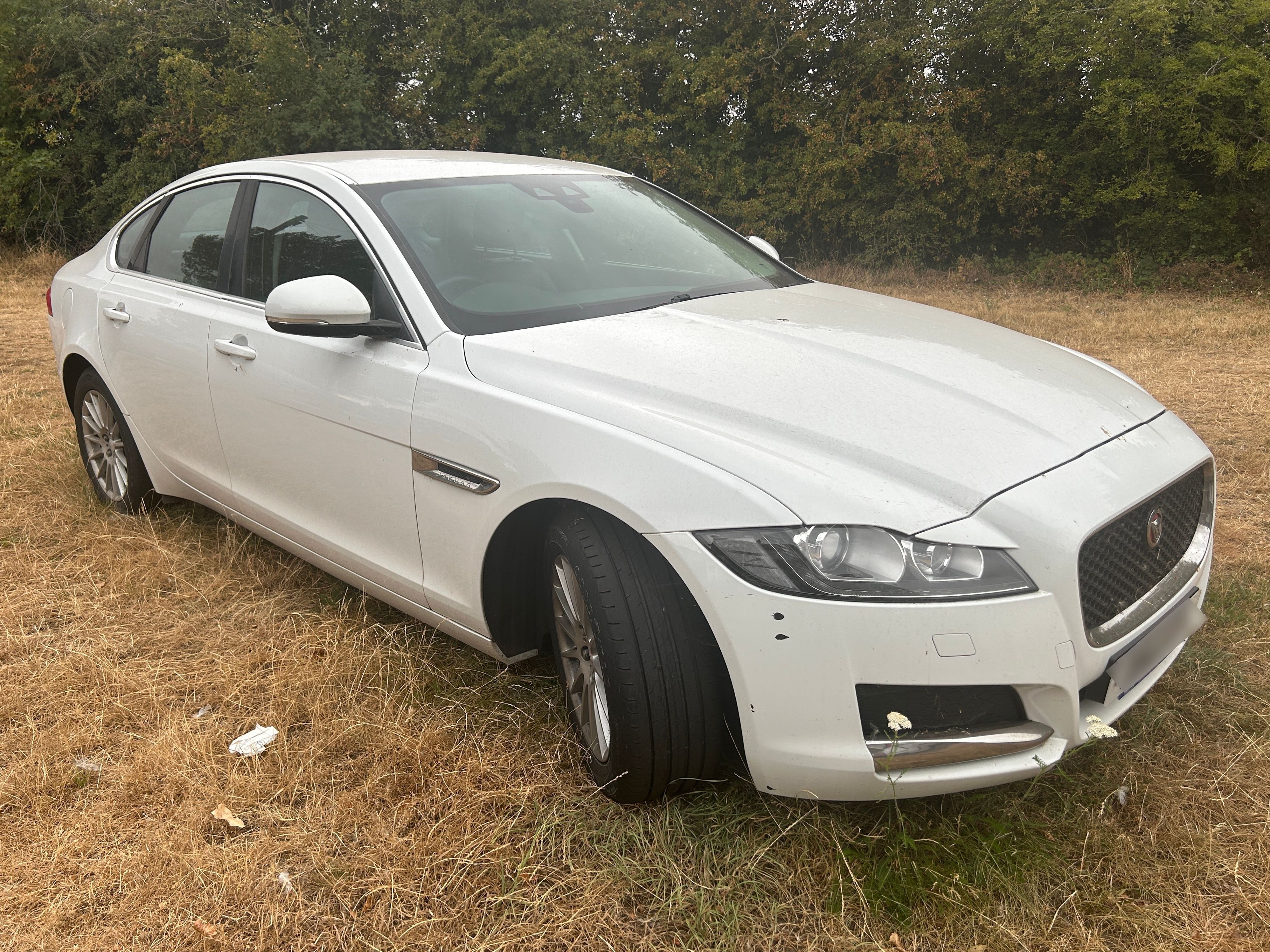 Jaguar XF Prestige D Auto
