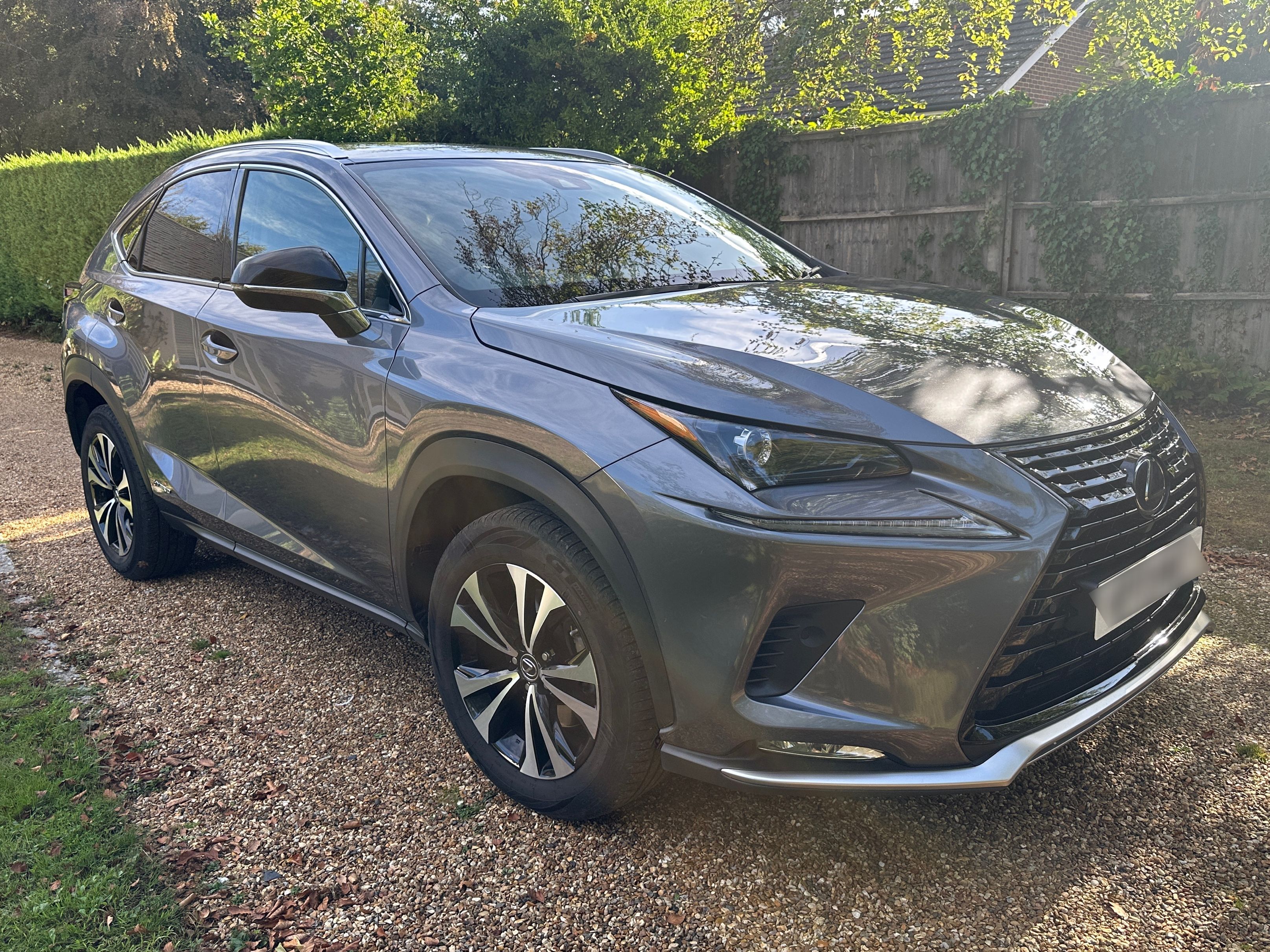 Lexus NX 300H CVT