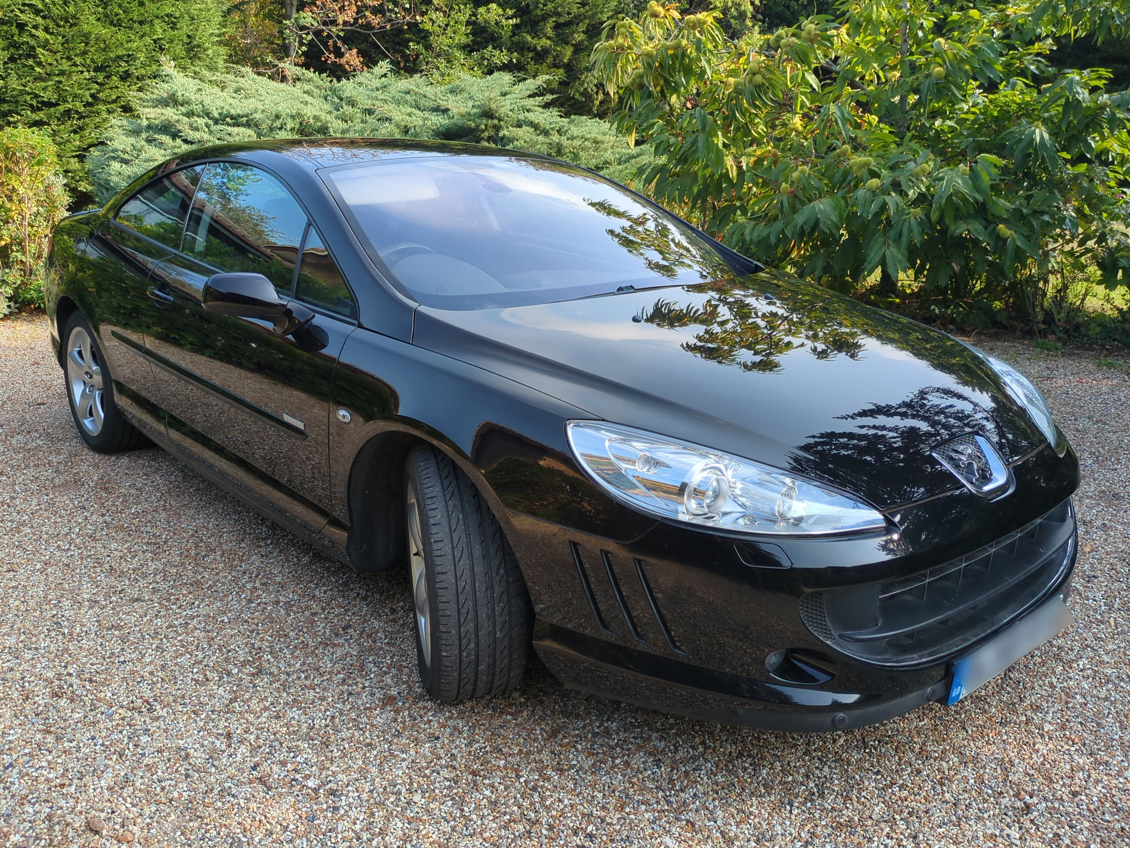 Peugeot 407