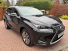 Lexus NX 300H CVT
