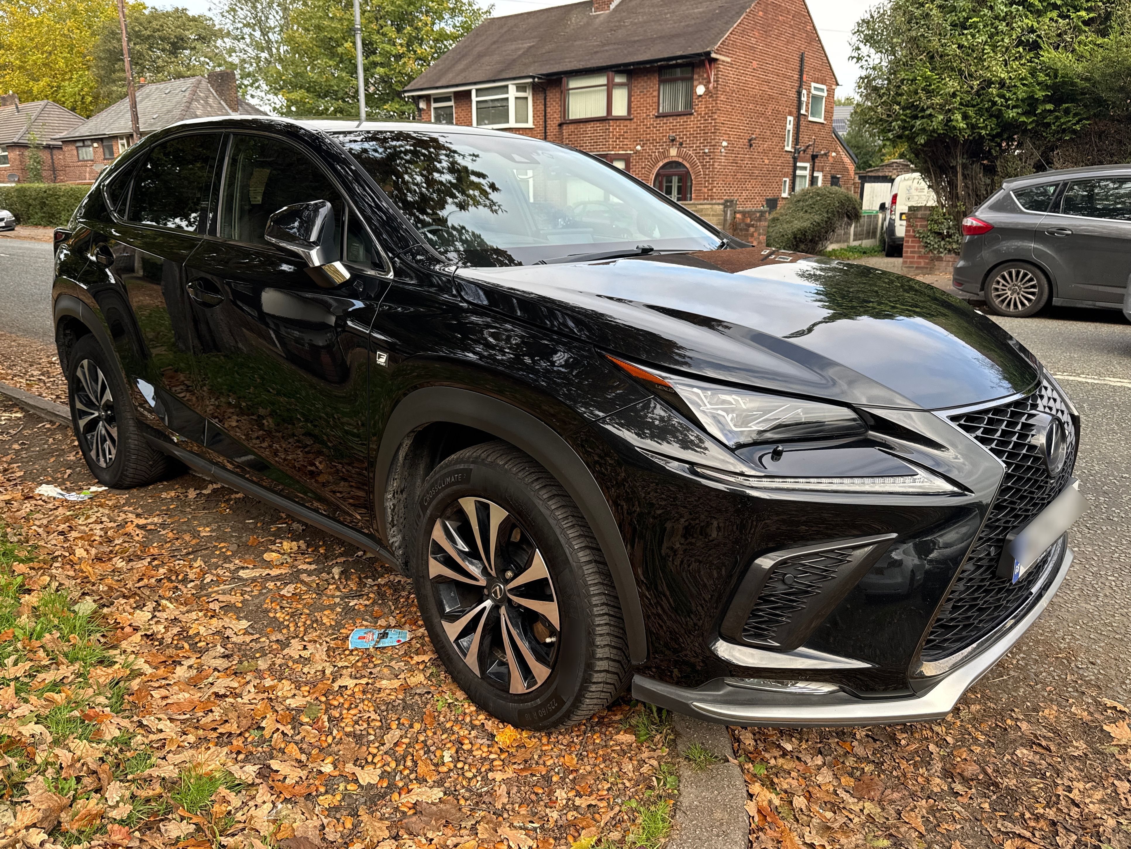 Lexus NX 300H F Sport CVT