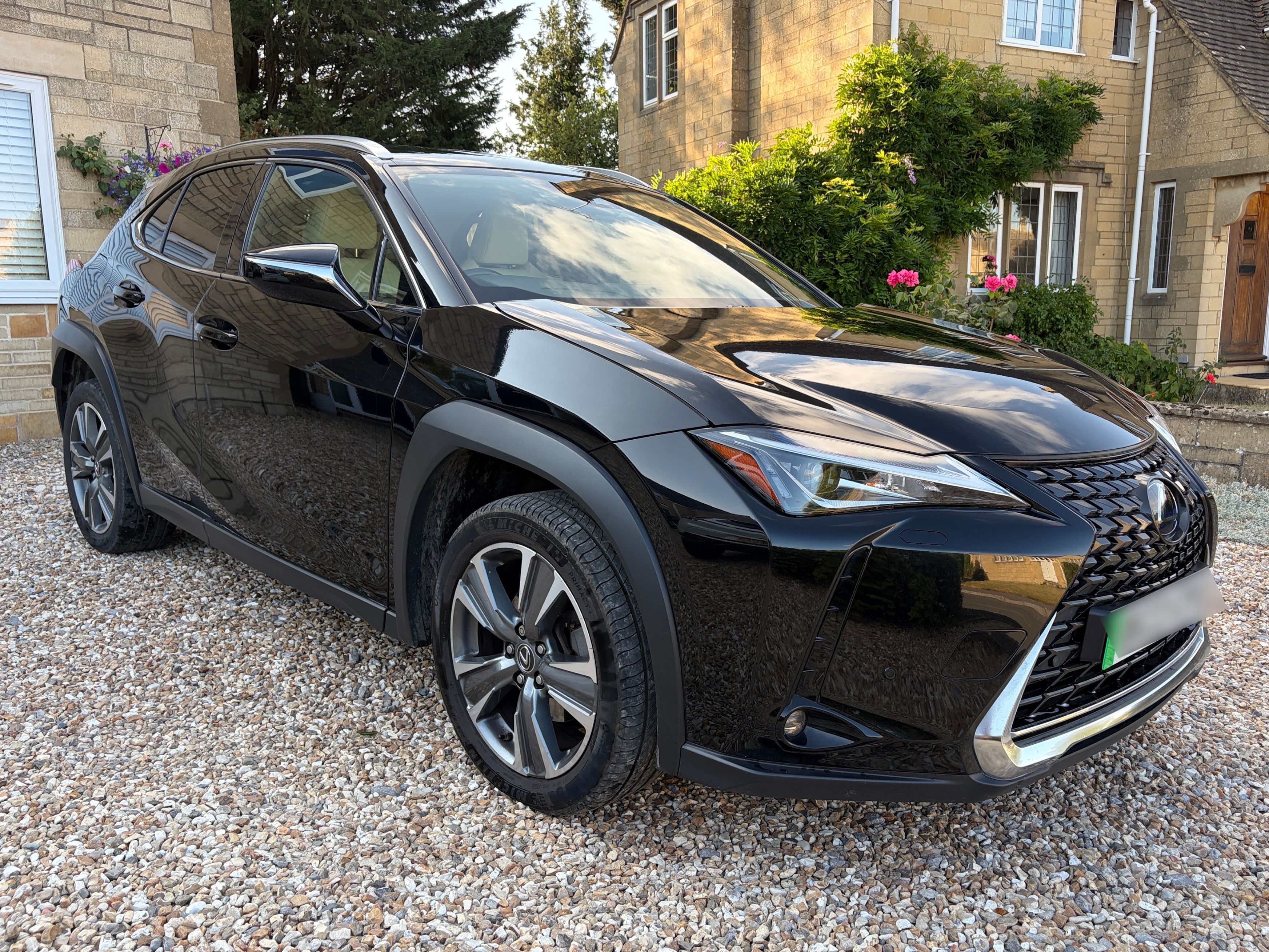 Lexus UX 300E