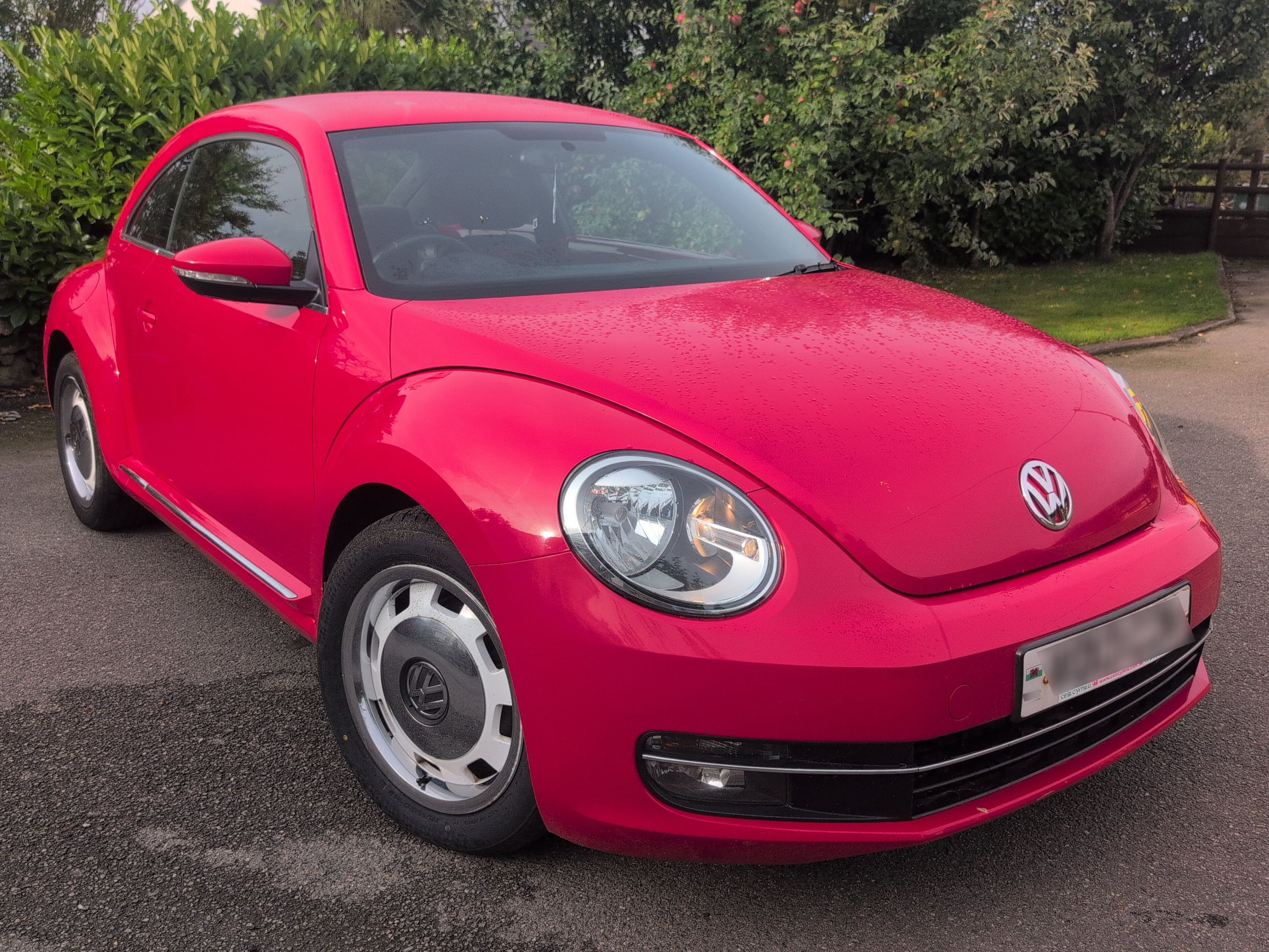 Volkswagen Beetle