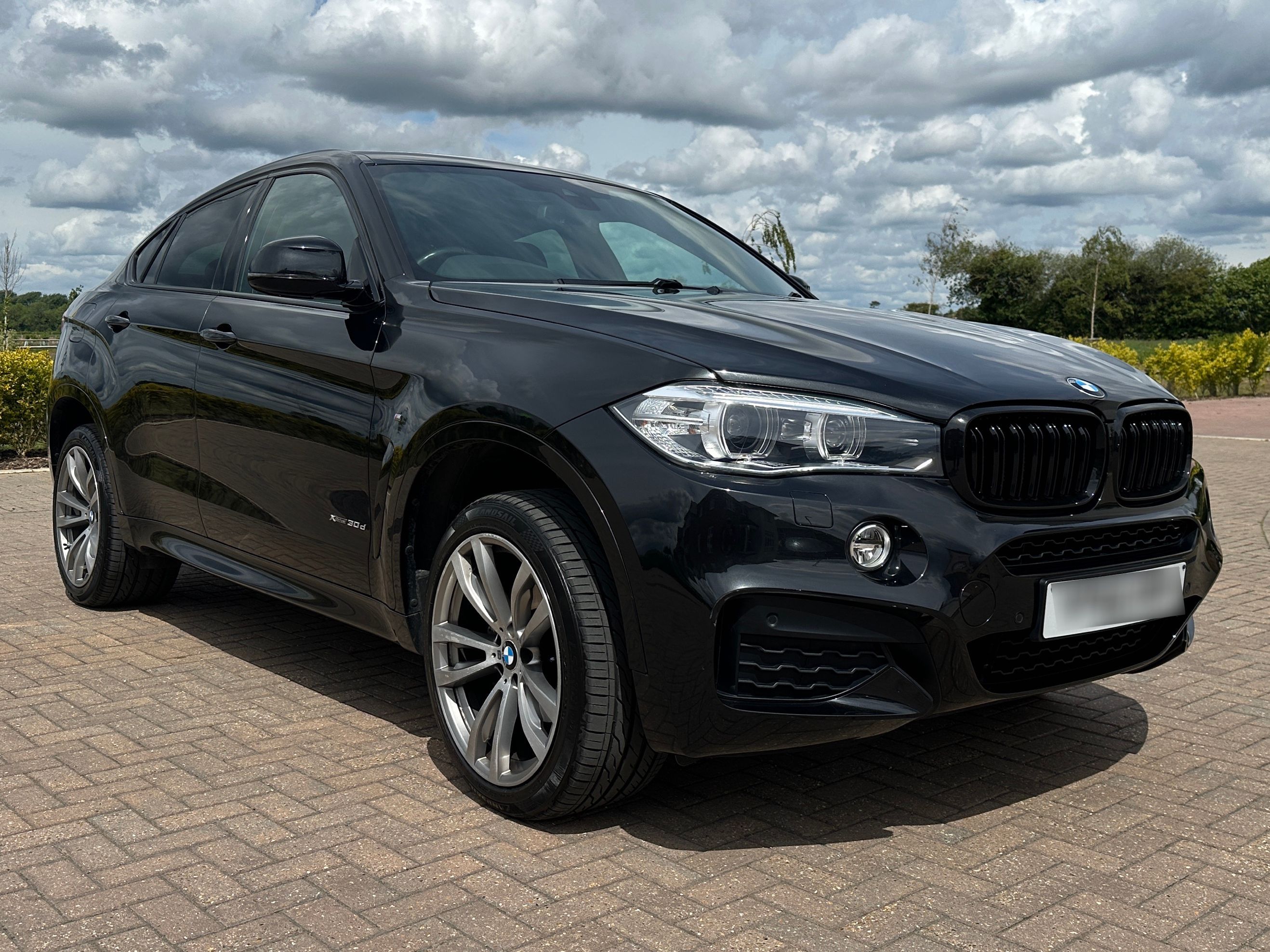 BMW X6