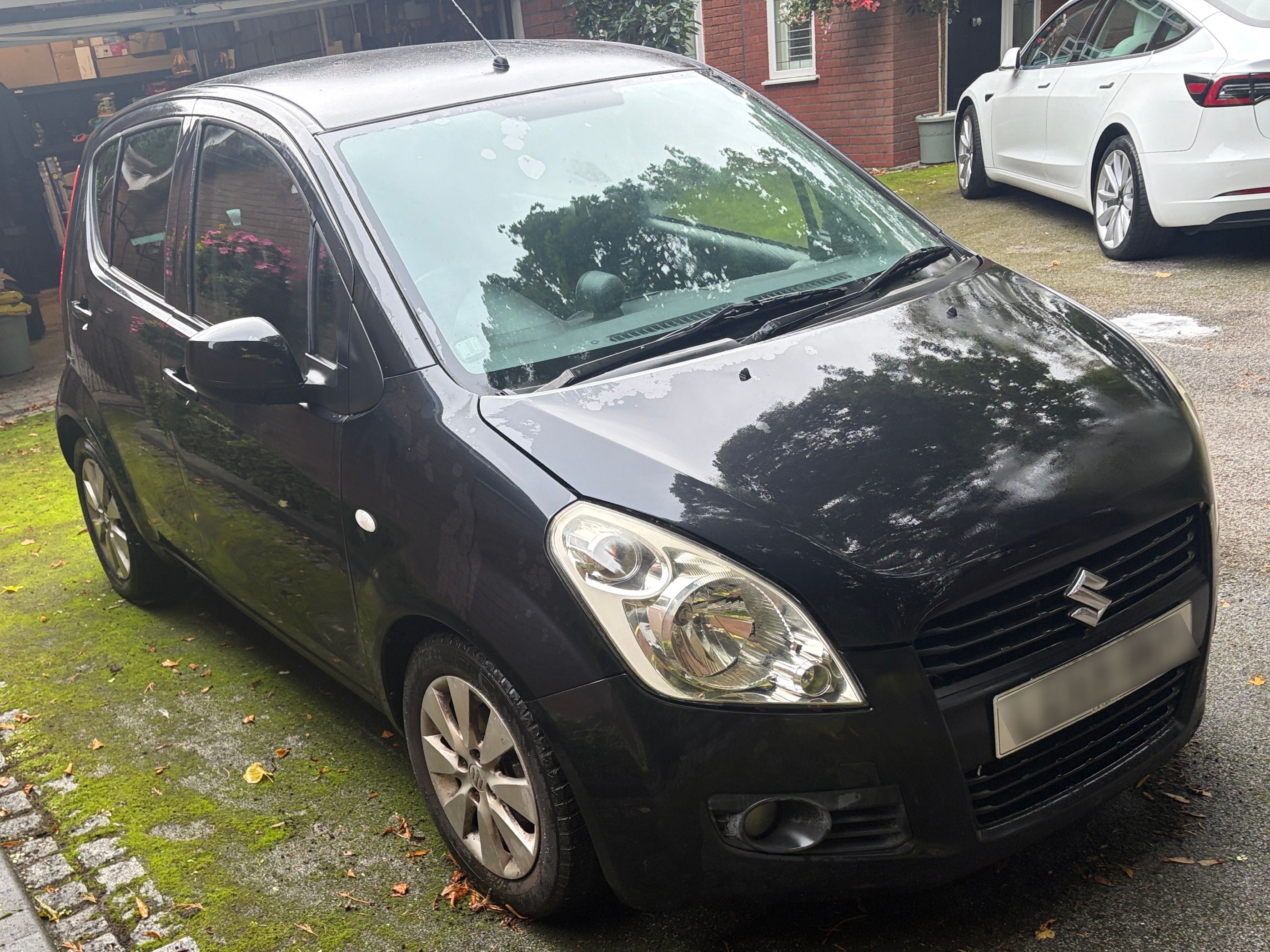 Suzuki Splash