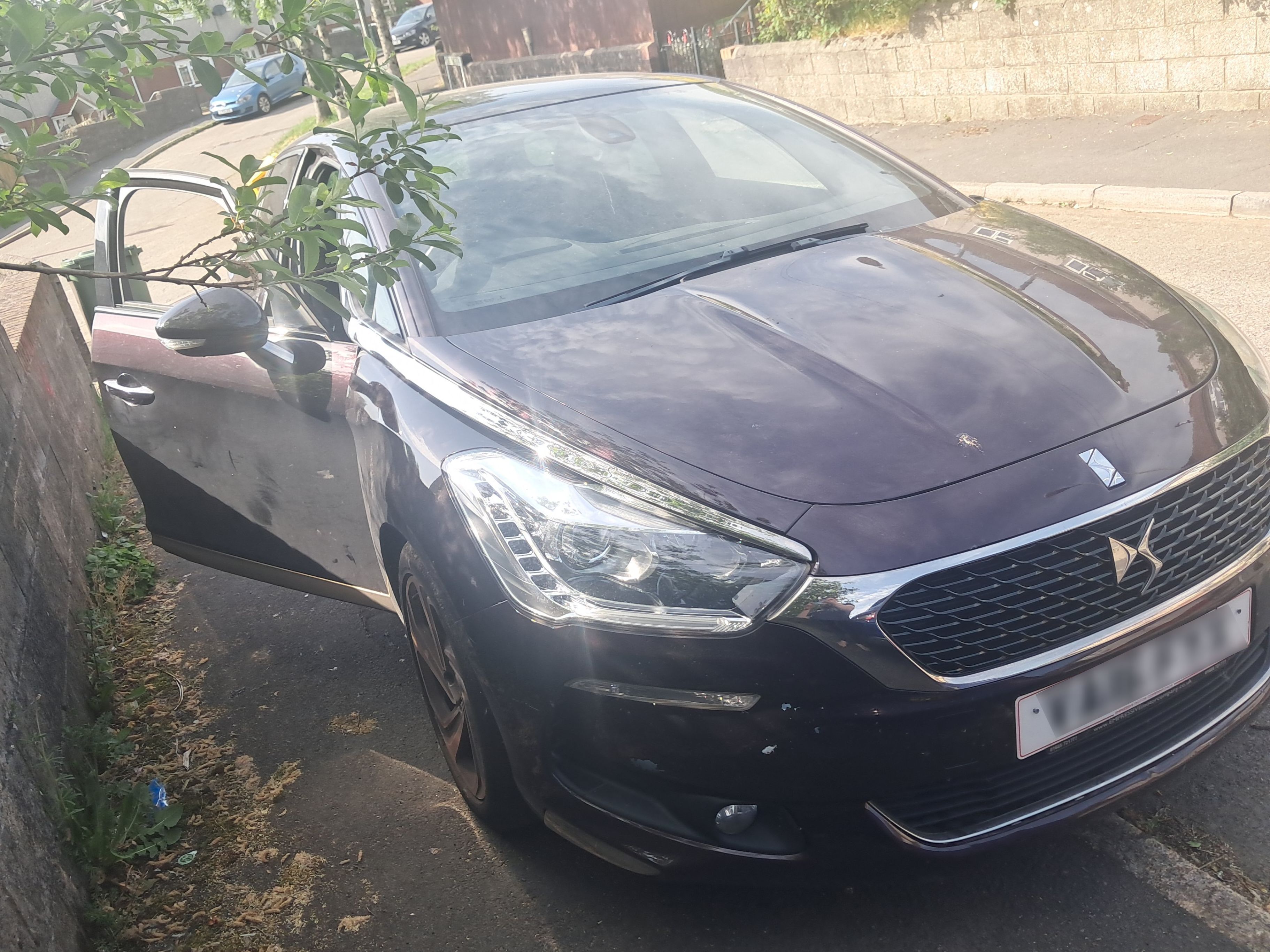 DS DS5
