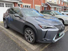 Lexus UX 300E