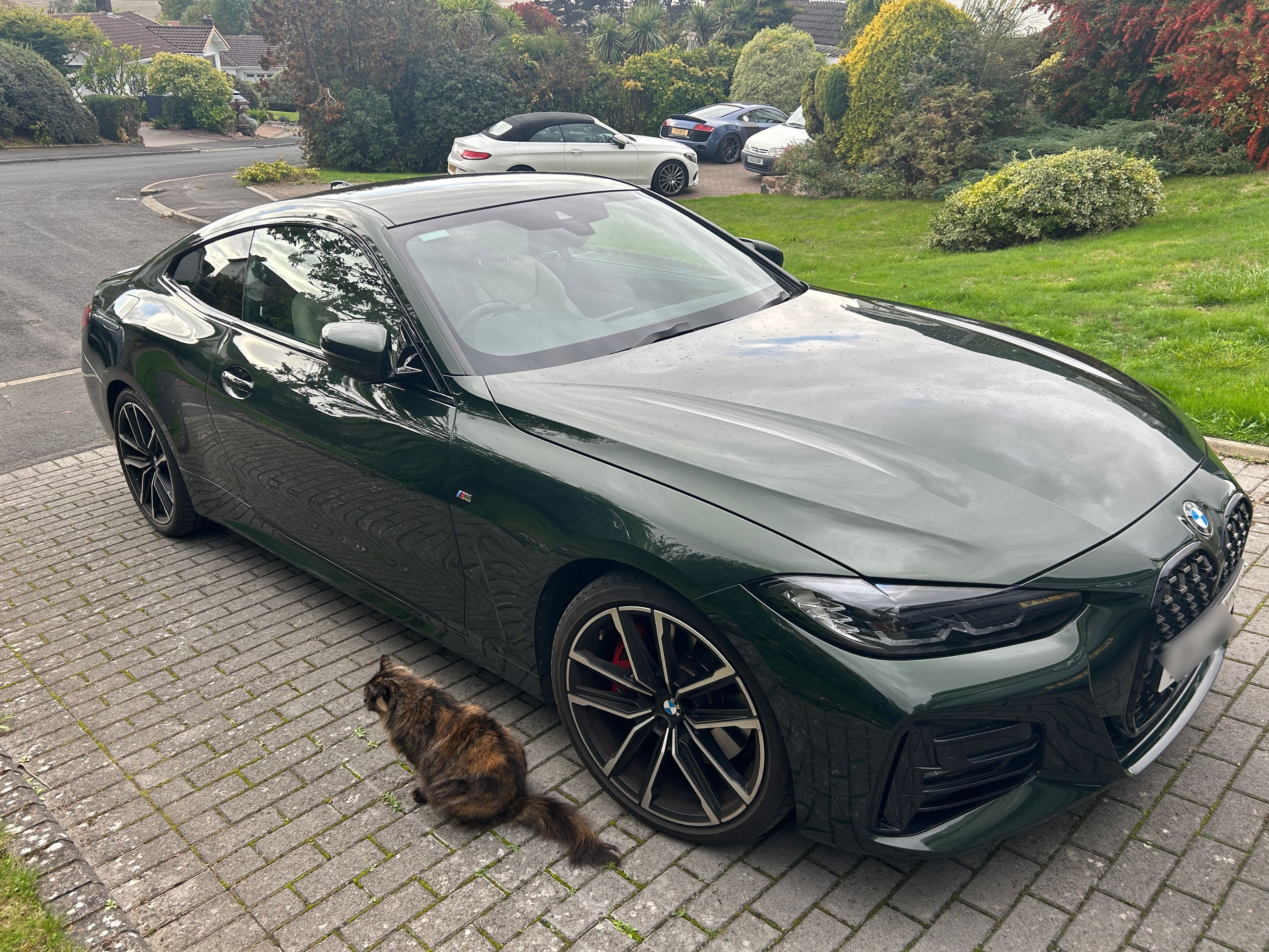 BMW 430I M Sport Auto