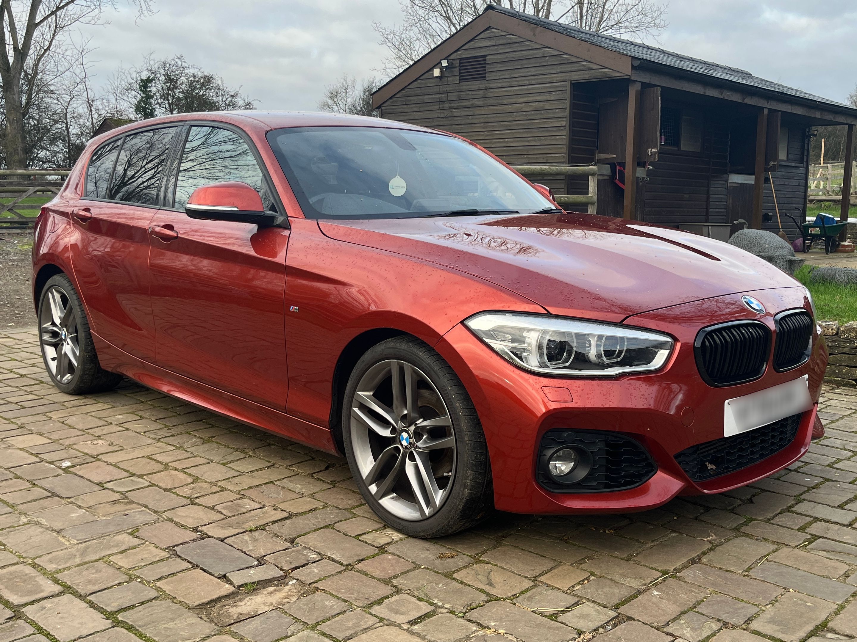 BMW 118I M Sport Auto