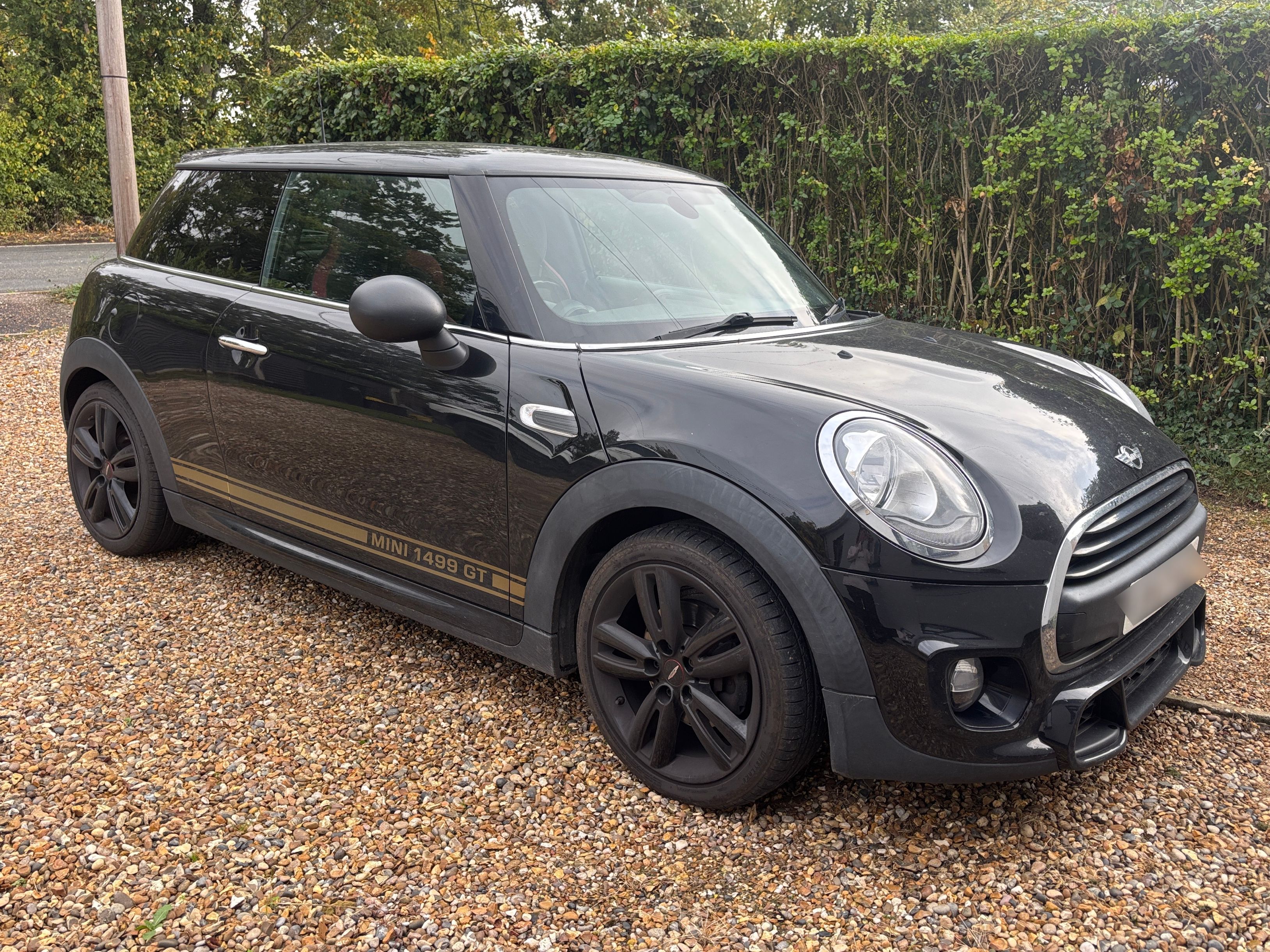 MINI GT