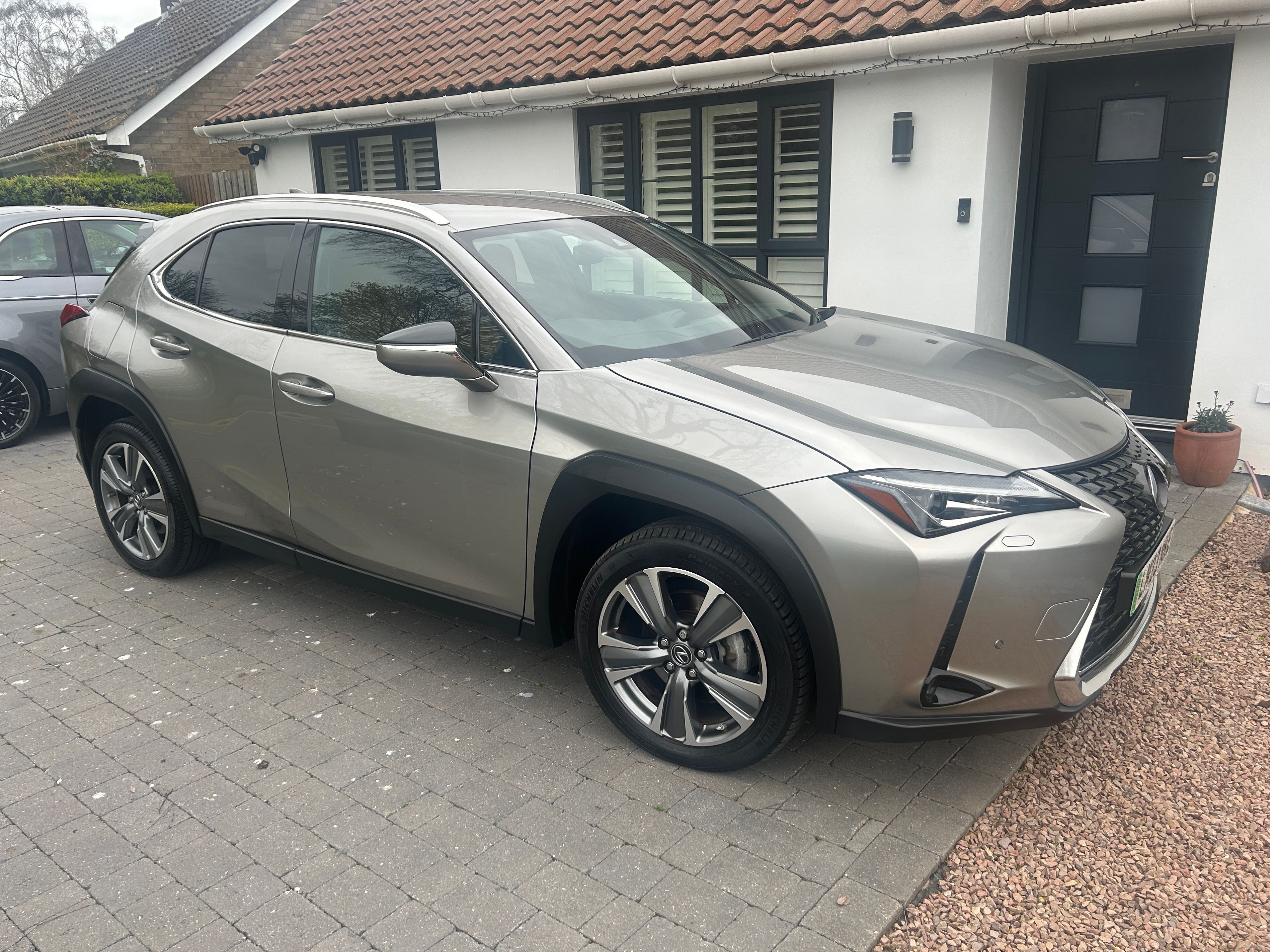 Lexus UX 300E