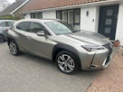 Lexus UX 300E