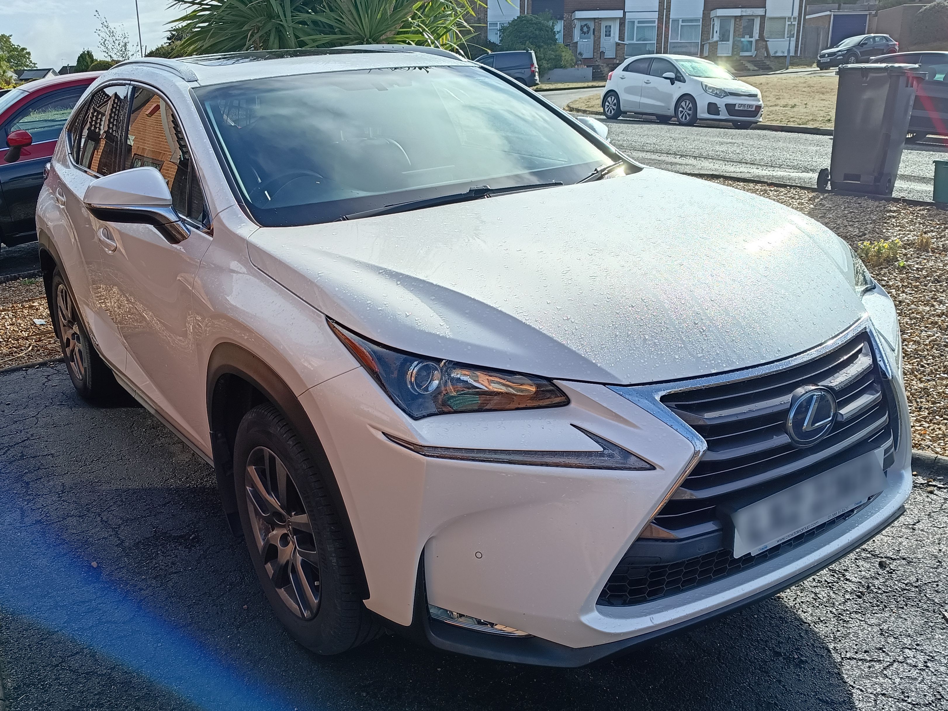 Lexus NX 300H Luxury CVT