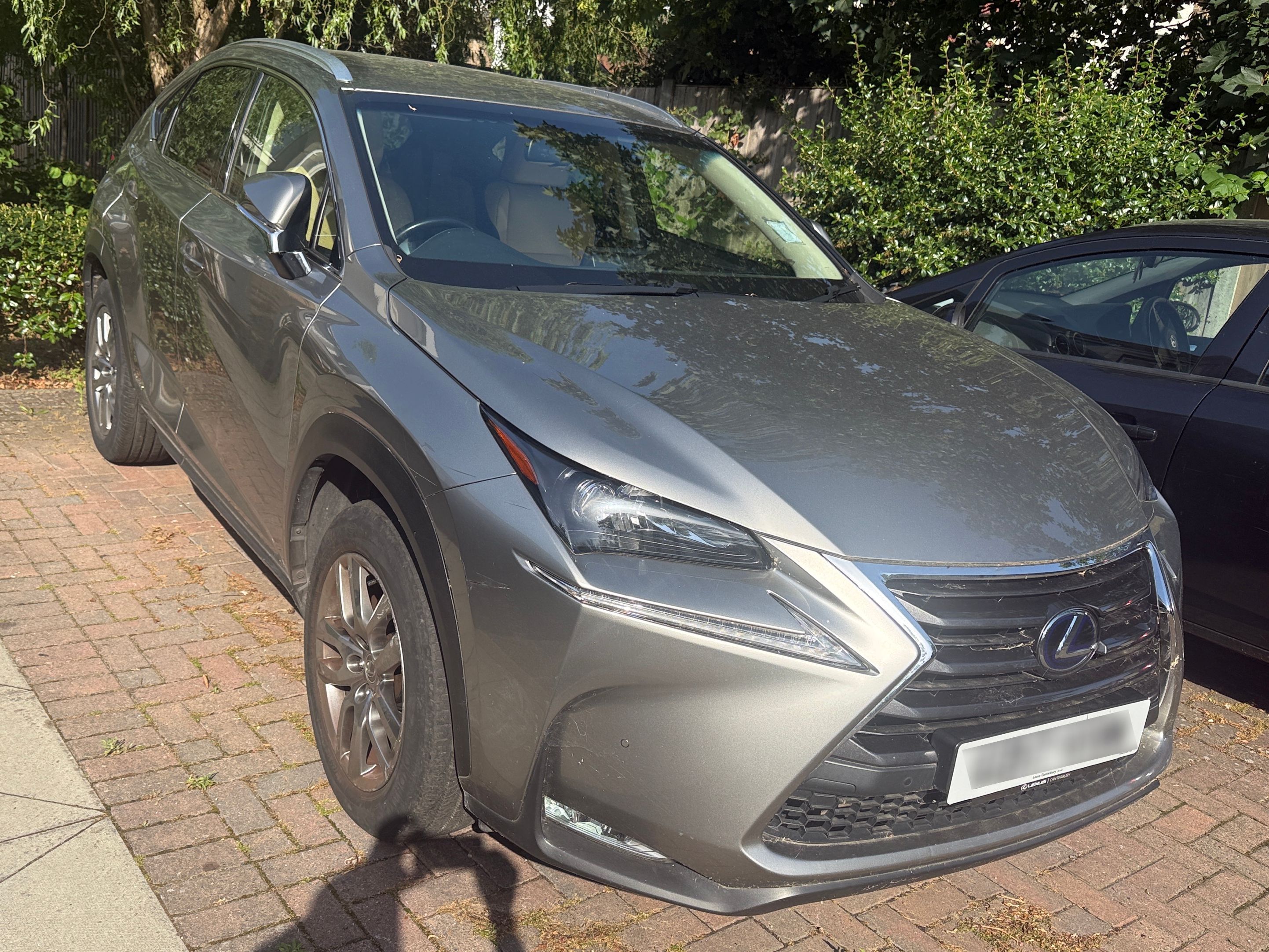 Lexus NX 300H Luxury CVT