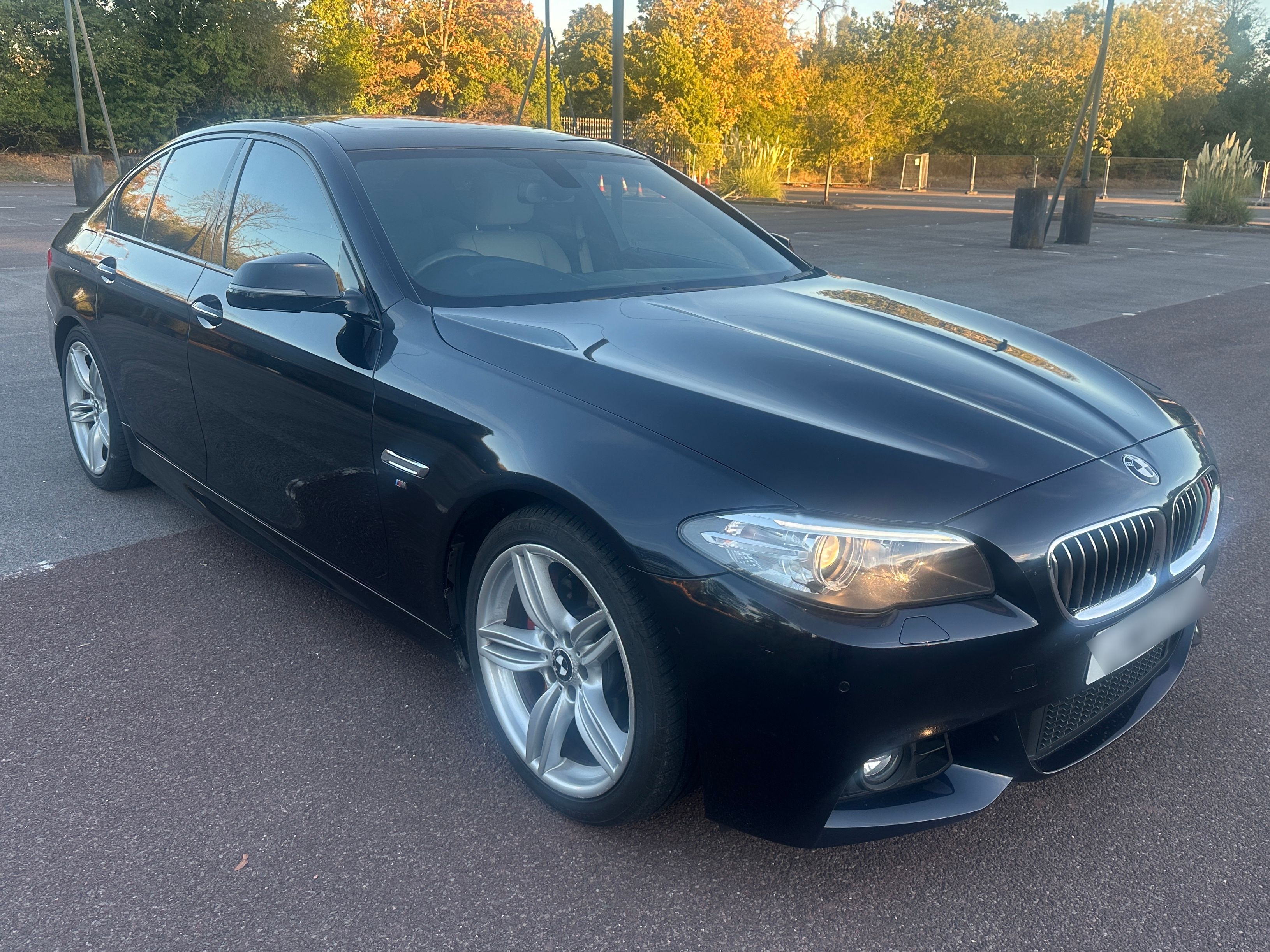 BMW 530D M Sport Auto