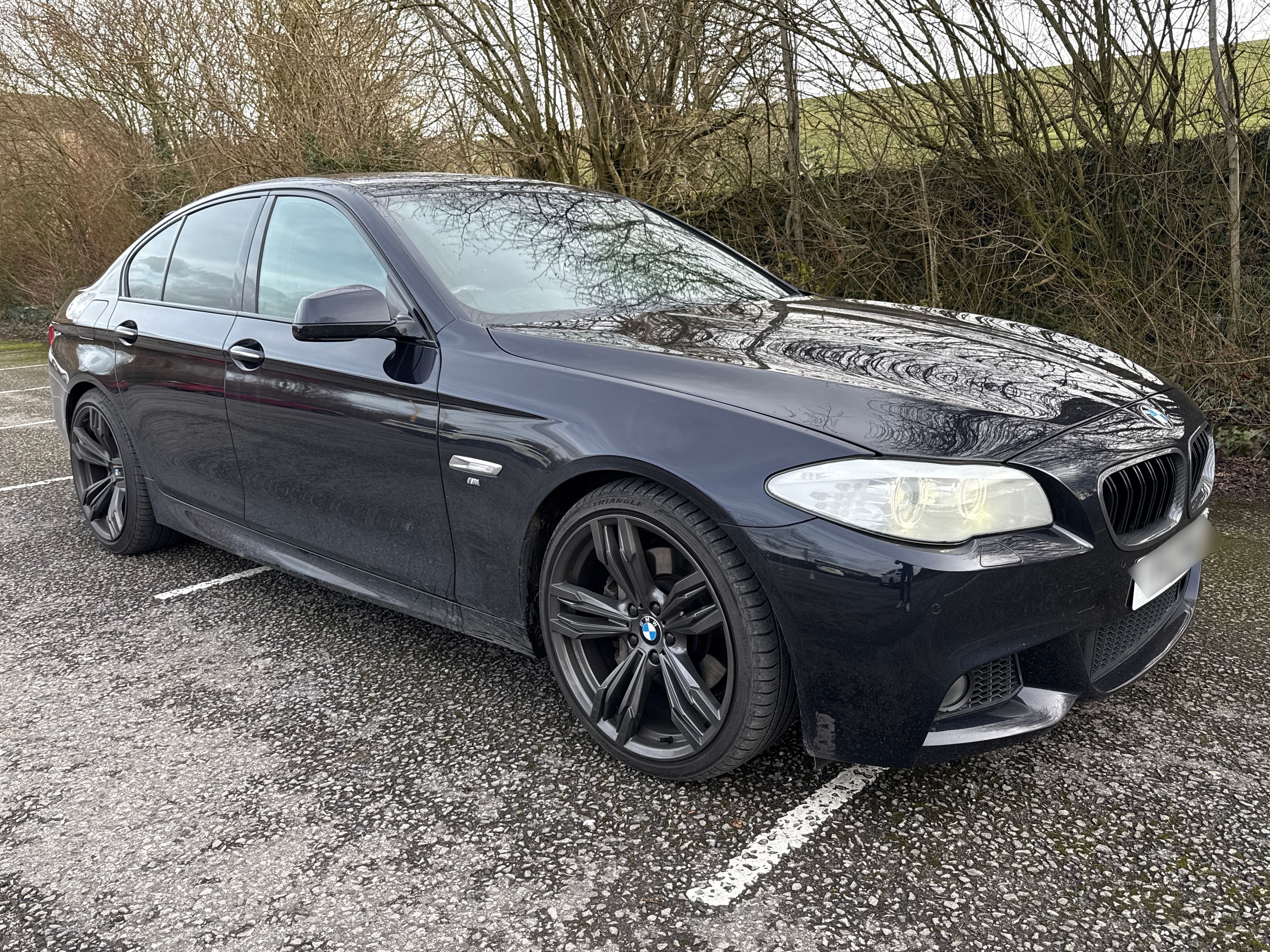 BMW 530D M Sport Auto